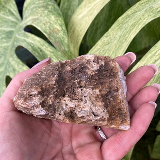 Hand holding a geode (back side) with green leaves in the background