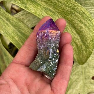 Hand holding a colorful crystal with green leaves in the background