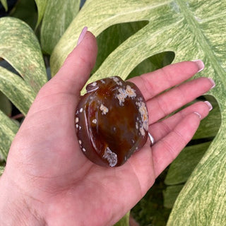 Hand holding a brown agate pumpkin-shape with green leaves in the background
