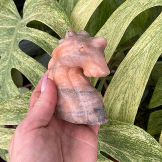 Hand holding a jasper unicorn against a leafy green background