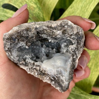 Hand holding a rough crystal rock with a green leafy background