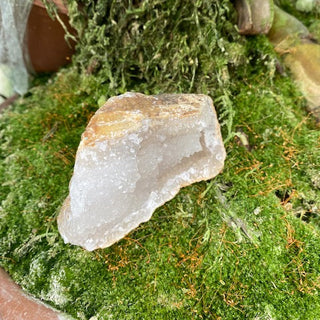 Crystal geode on a bed of green moss in a potted plant