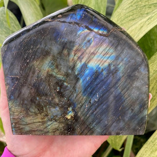 Person holding a labradorite crystal against a green leafy background
