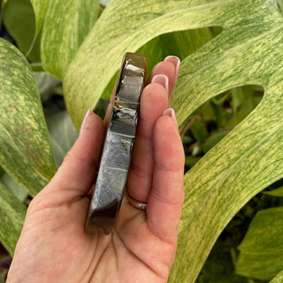 Hand holding a side view of an agate leaf shape carving against green leafy plants