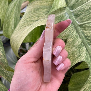 Hand holding a side view of an agate mountain or cloud shape with a plant in the background