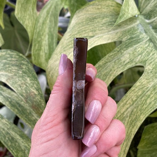 Hand holding a side view of an agate moon shape with green leaves in the background