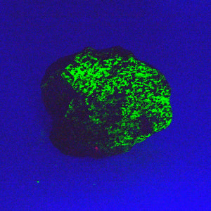 Willemite Fluorescent Mineral Specimen (11.5 oz _ S-28)