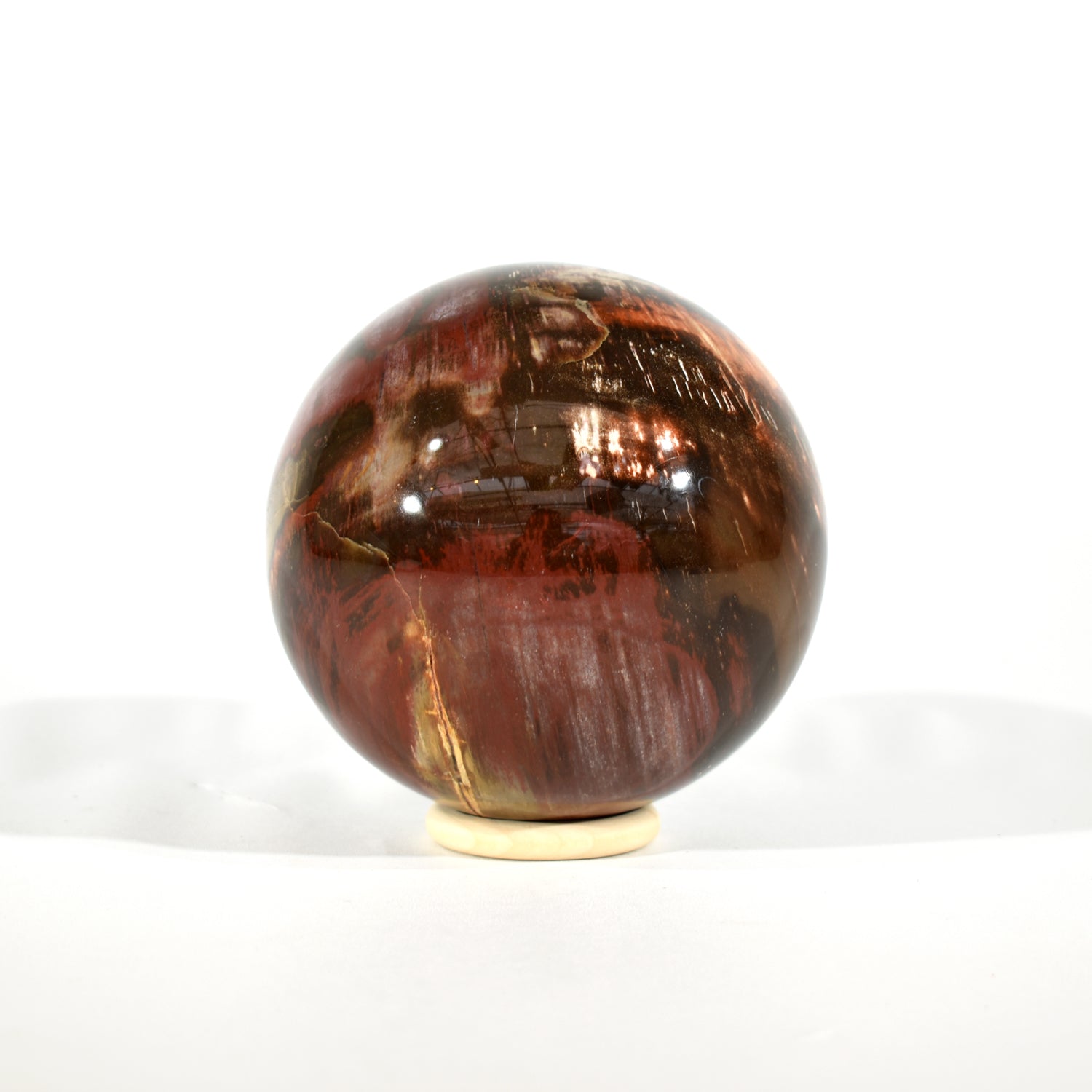 Petrified Wood Sphere (4.97 Lbs)