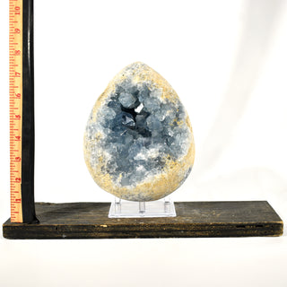 Celestite Teardrop Geode (8.85 lbs _ S-2)