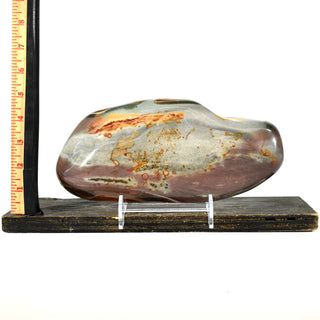 Polychrome Jasper Freeform (7 lbs _ S-7)