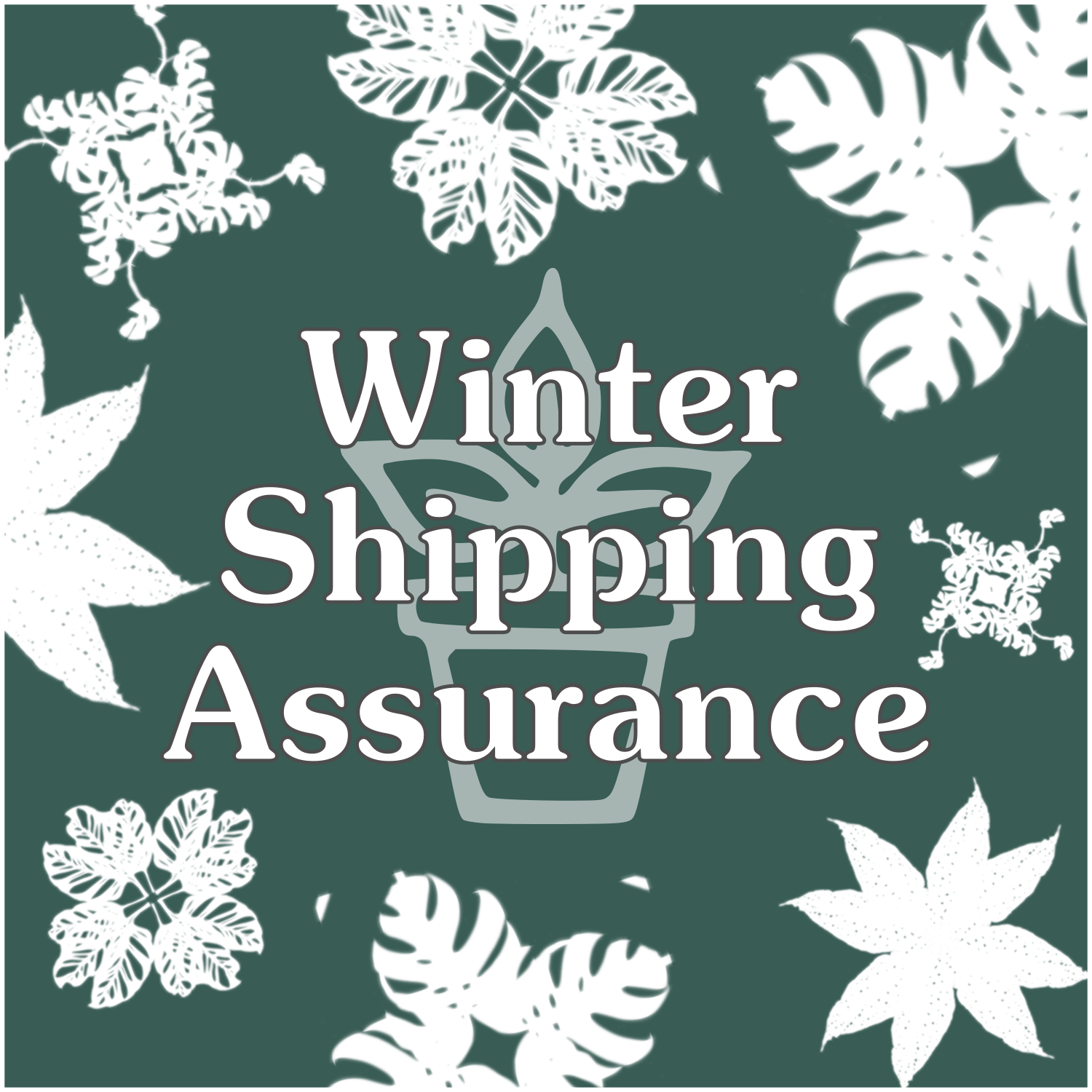 Winter Shipping Assurance