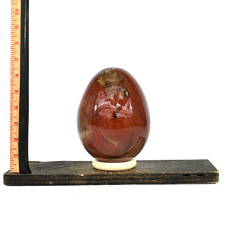 Petrified Wood Egg (7.4 lbs _ S-15)