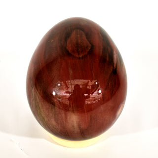 Petrified Wood Egg (7.4 lbs _ S-15)