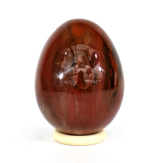 Petrified Wood Egg (7.4 lbs _ S-15)