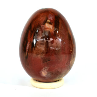 Petrified Wood Egg (7.4 lbs _ S-15)