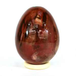 Petrified Wood Egg (7.4 lbs _ S-15)