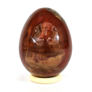 Petrified Wood Egg (7.4 lbs _ S-15)