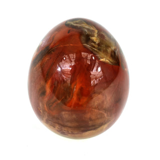 Petrified Wood Egg (7.4 lbs _ S-15)