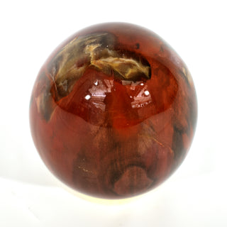 Petrified Wood Egg (7.4 lbs _ S-15)