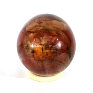 Petrified Wood Egg (7.4 lbs _ S-15)