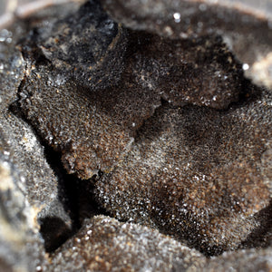 Septarian Geode Heart (7.8 Lbs)