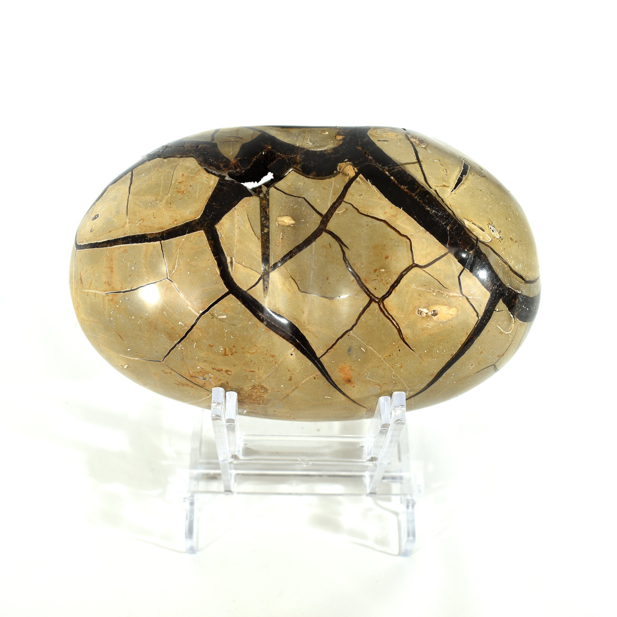 Septarian Geode Heart (7.8 Lbs)